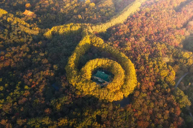 該怎麼向你描述南京的秋天呢 該怎麼向你描述南京的秋天呢