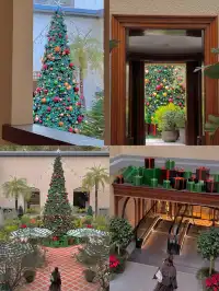 香港8小時拍完漂亮聖誕樹(挑戰成功版!)