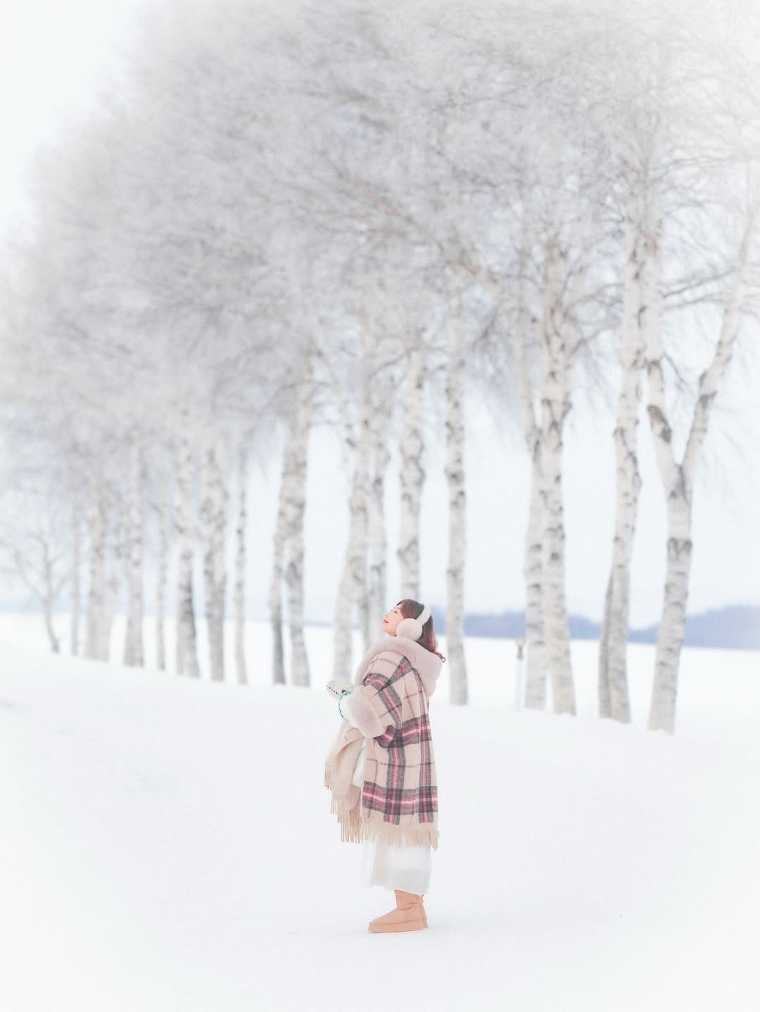 Let's go to Sapporo this winter! The snowy fairy tale trip is so romantic!