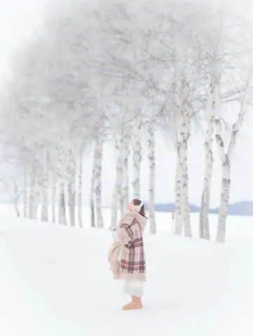 今年冬天去札幌吧！雪國童話之旅太浪漫啦！