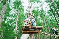 魔都新打卡點！浦江郊野公園叢林探險全攻略