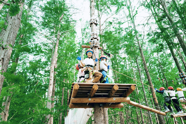 魔都新打卡點！浦江郊野公園叢林探險全攻略