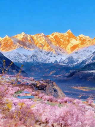 Вид на золотистый восход солнца над горами среди десяти миль цветущих персиковых деревьев в Ньинчи просто захватывает дух!