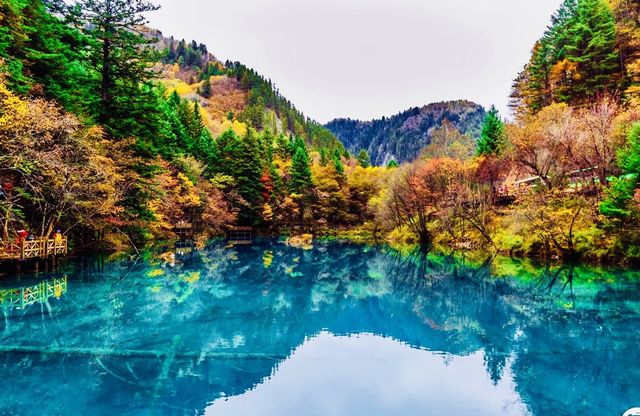 四川九寨溝五花海|童話世界的調色盤美到窒息!|Trip.com 九寨溝