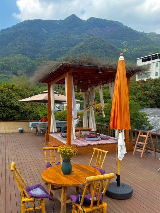 Visa-free direct flights! Turkey's springtime exclusive romantic spot loved by the cat master himself