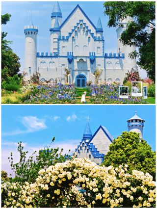 Kunming in April, the flowers are still blooming