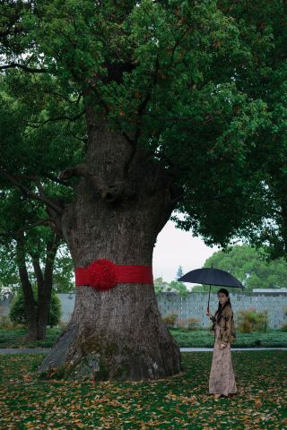 Shanghai Yangyun Aman