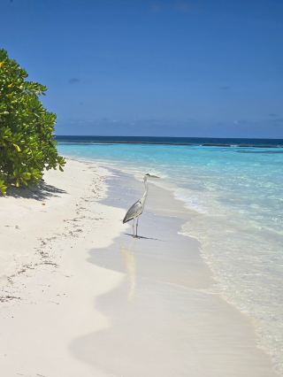 A Serene and Unforgettable Experience at Baros
