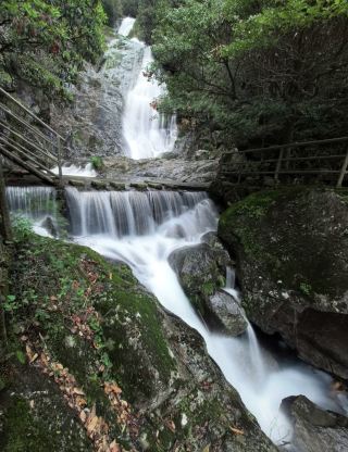 青山と緑の水に癒される春、一日ハイキングで花見の旅
