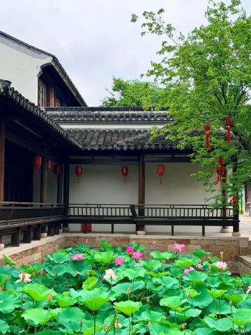 蘇州｜「石湖公園」の蓮の開花情報 。 | Trip.com 蘇州