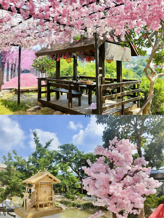 夏天高雄5日遊攻略 要去打卡地