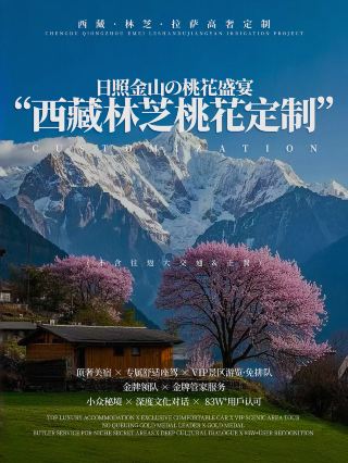 2026西藏林芝桃花丨私家訂製專屬