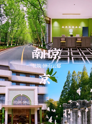 步行逛遍中山陵！紫金山下的民國文藝美宿好看！