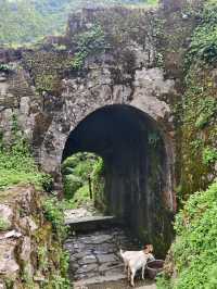 遵義必去世界遺產
