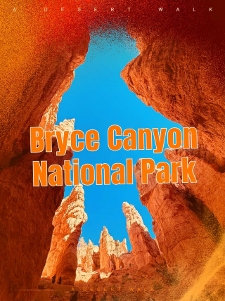 Don't just visit the viewpoints at Bryce Canyon! Slow down to truly appreciate its desolate beauty