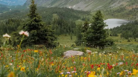 Just got back from a short winter getaway to Banff. I specif — traveler post in Field