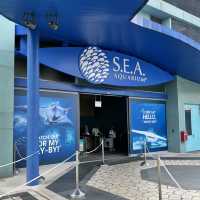 新加坡 S.E.A. aquarium 海洋館