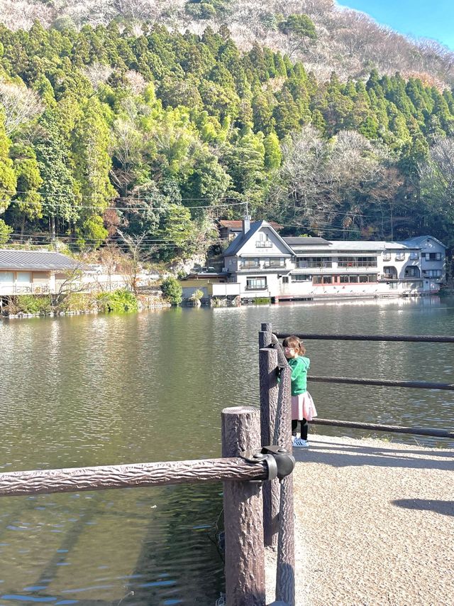 유후인에서 여유롭게 물멍 "긴린코 호수"🌳