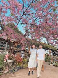 🌸โปโป ปิงปิง ร้านกาแฟสไตล์ญี่ปุ่นน่ารักๆ🌸