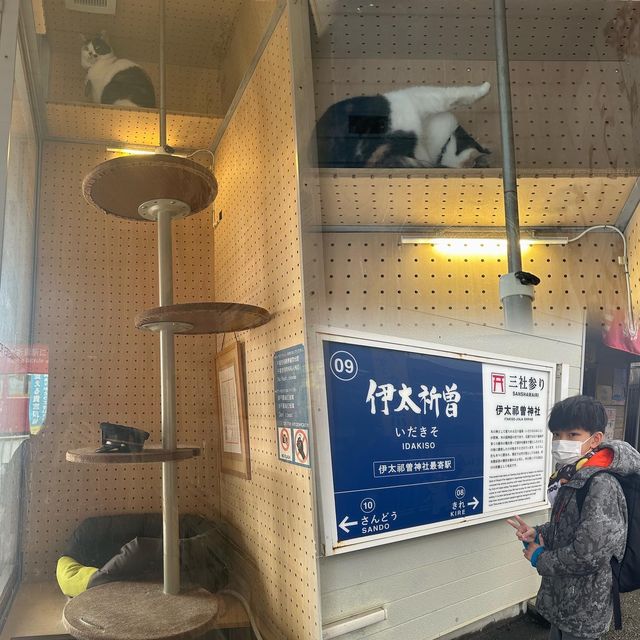 去和歌山探吓貓駅長