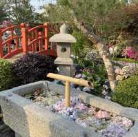 花卉展—18區花卉園景爭艶