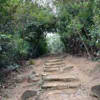 "Discover the hidden gem of Hong Kong: Wan Kok Shan & Pyramid Hill