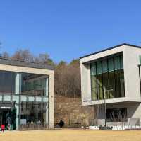 여주 베이커리 카페 무이숲