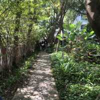 Wat Pa Lelai Woraviharn, Suphan Buri Thailand