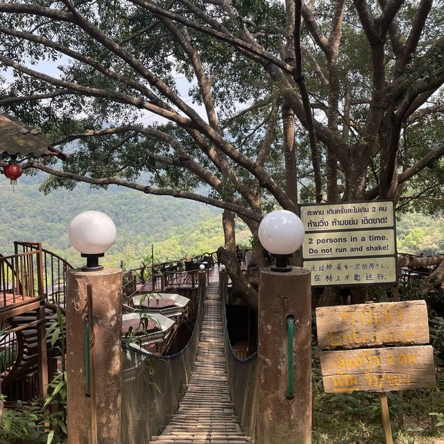 거대한 나무와 마운틴뷰를 즐길 수 있는 The giant chiang mai thailand cafe