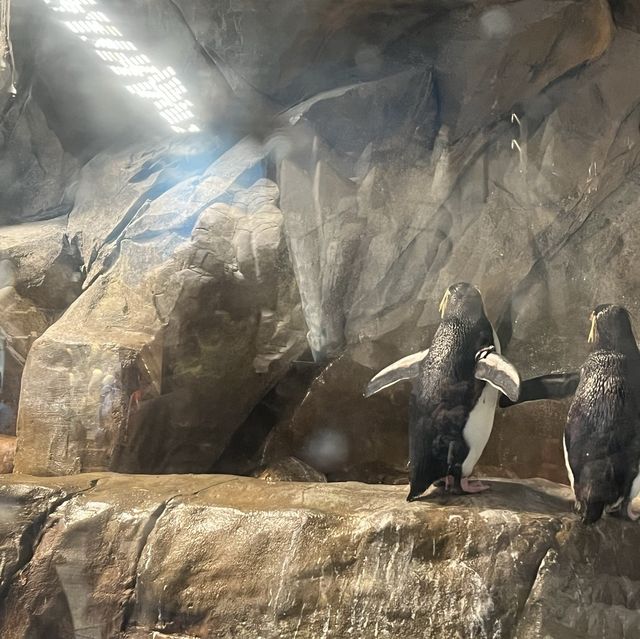 海洋公園：南極奇觀