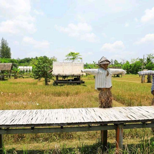 ไร่เกษมสุข อำเภอทุ่งใหญ่ จังหวัดนครศรีธรรมราช