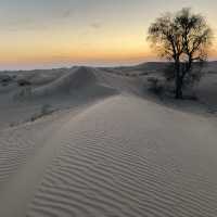 Sunset on a desert