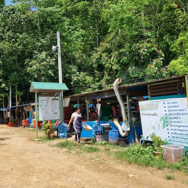 ป่าต้นน้ำบ้านน้ำราด 🌿