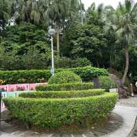Montanha Russa Garden 