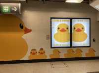 《🐤期間限定黃鴨主題車站🚇》