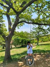 초록 가득한 힐링 한스푼🌿경주 최애여행코스💚