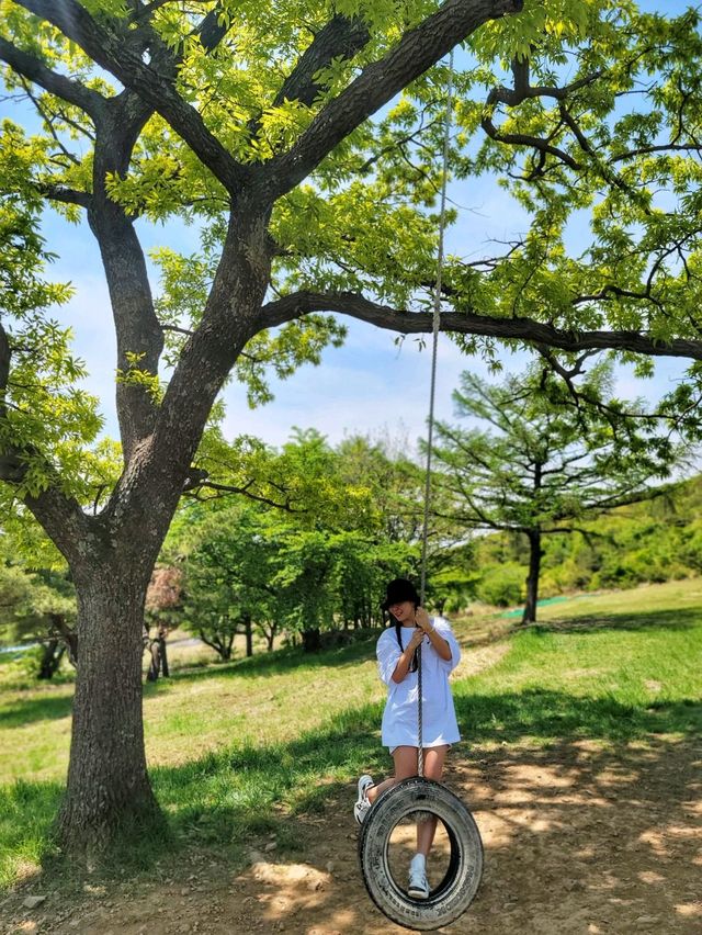 초록 가득한 힐링 한스푼🌿경주 최애여행코스💚