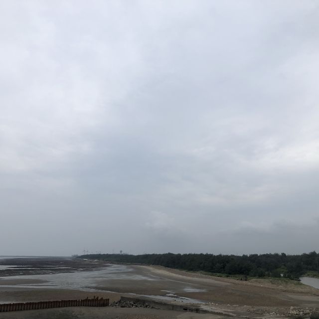 望海步道草地區