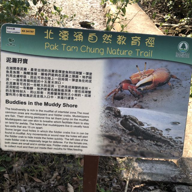 IG-able hiking route in Sai Kung, Hong Kong