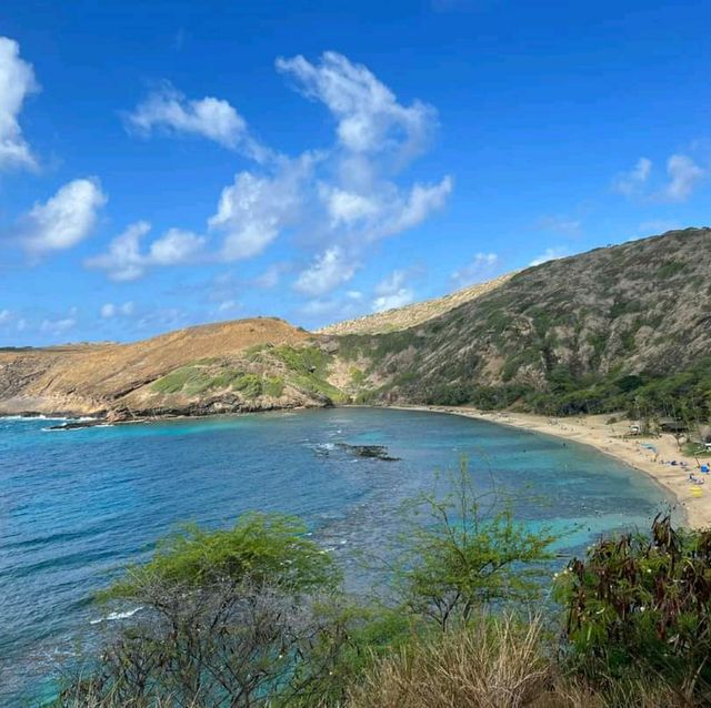 PARADISE ON EARTH - ALOHA FROM HAWAII 