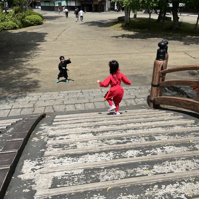 ちびっ子忍者で江戸観光