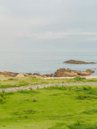 부산 기장 바닷가 1열 뷰, 오늘의 우리 집🏠