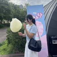 부산 피크닉명소 