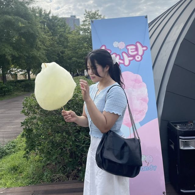 부산 피크닉명소 