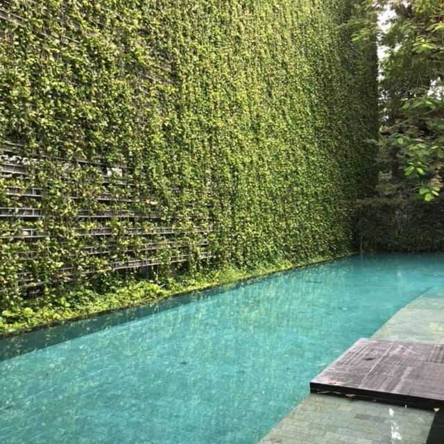 รีวิวโรงแรมสวยใจกลางเชียงใหม่