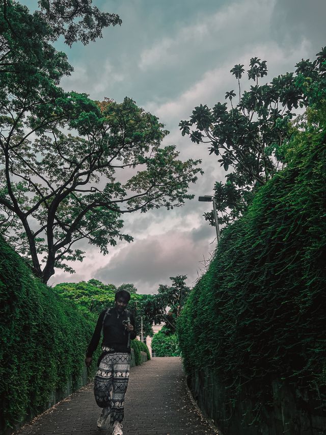จุดถ่ายรูปยอดฮิต ปักหมุด Fort Canning Tree Tunnel