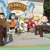 Snoopy’s world 