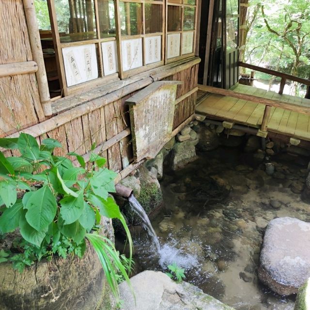 自然の中で山菜料理