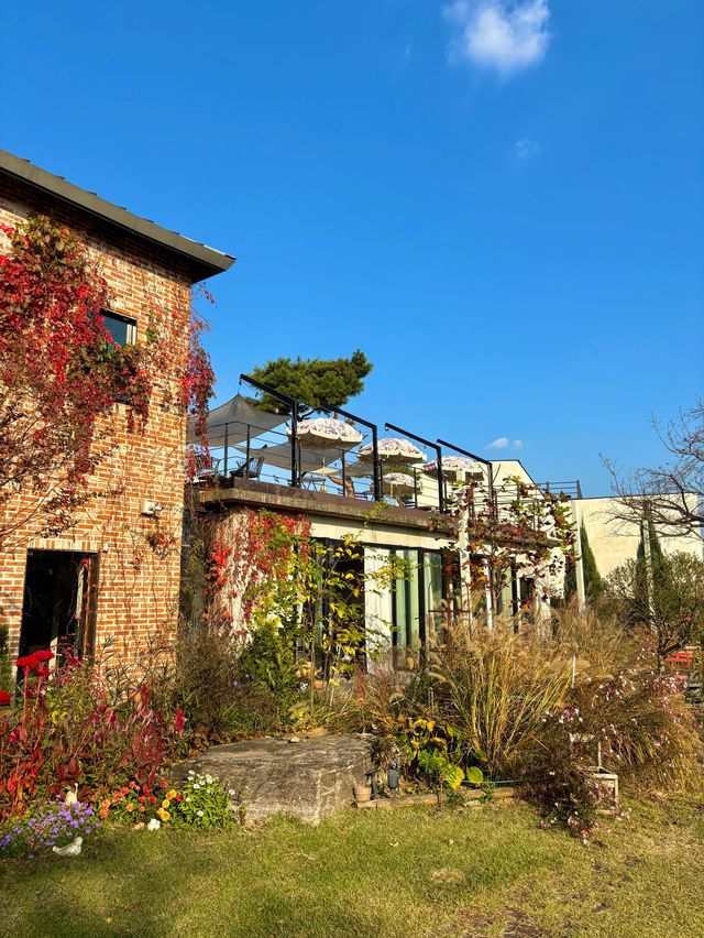 가을 분위기 잔뜩 느낄 수 있는 전주 디오차드 카페💚