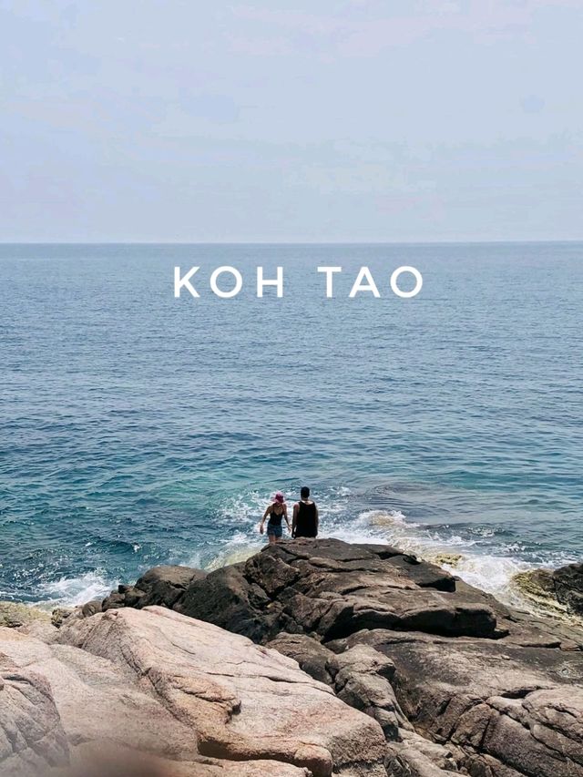 เกาะเต่า...ไม่เหงาใจ